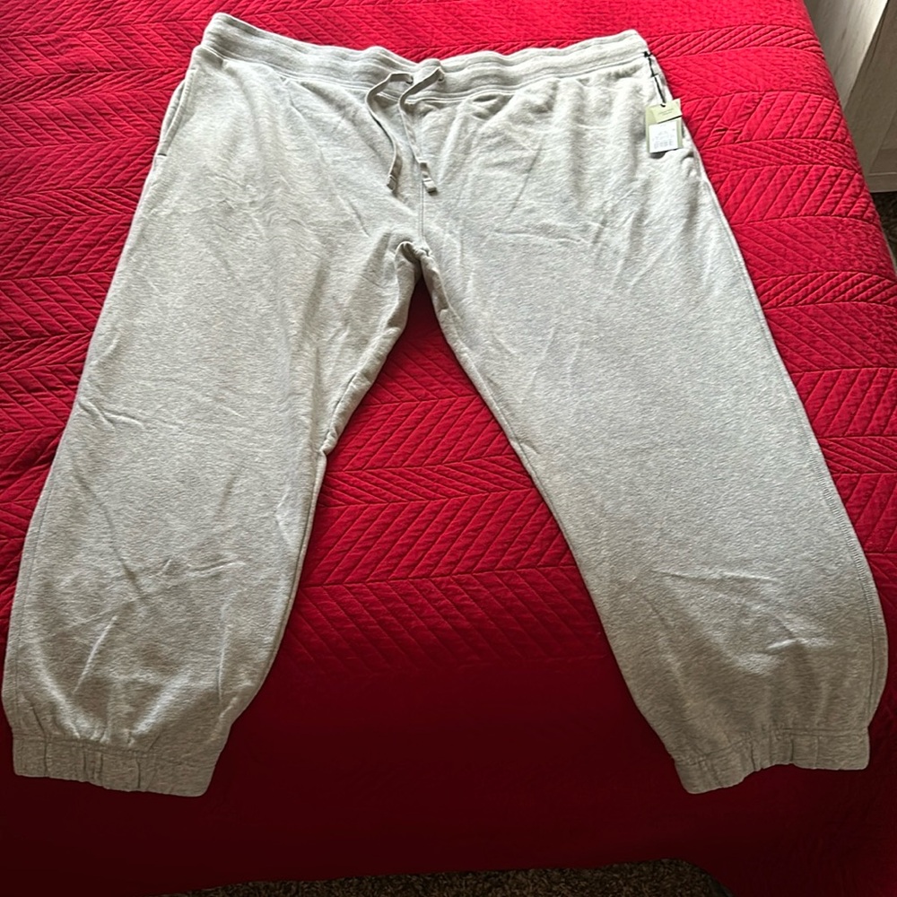 Goodfellow & co joggers pants